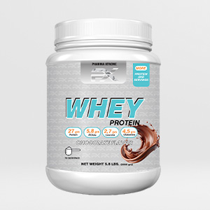 WHEY PROTEIN CHOCOLATE FLAVOR