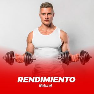 Rendimiento